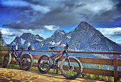 fat bike experience 